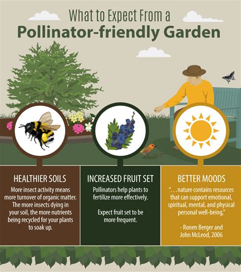 What S A Pollinator Garden Planning A Pollinator Garden Southern