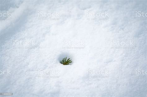 Albedo Effect Stock Photo - Download Image Now - Austria, Backgrounds, Climate - iStock