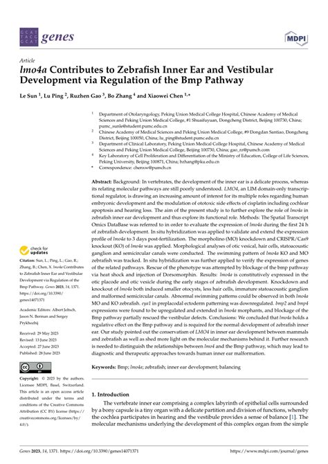 Pdf Lmo A Contributes To Zebrafish Inner Ear And Vestibular