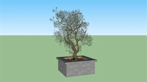 Tree 2 3d Warehouse