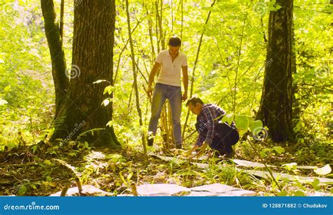 Two Scientist Ecologist Working in the Forest Stock Photo - Image of ...