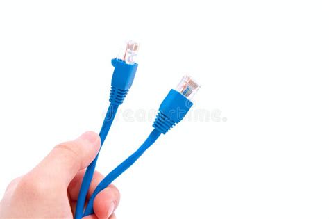 Ethernet Cables Stock Photo Image Of Connect Cyberspace 13362674