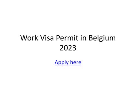 Work Visa Permit in Belgium 2023.pptx