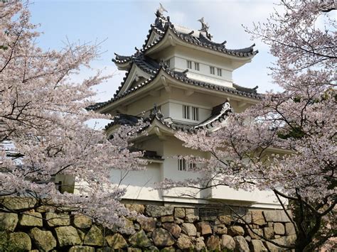 Japan visa: All UAE residents can now apply online for entry