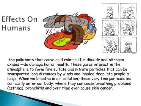 Acid Rain Effects On Humans Lungs