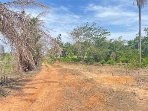 For Sale Most Affordable Dry Land Epe Lagos Nigeria Property