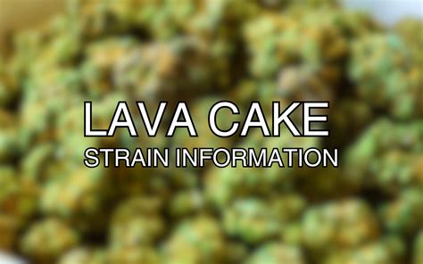 10 Things To Know About The Lava Cake Strain Kushy Dreams