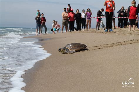 Fundación Cram Celebra 25 Años Protegiendo La Biodiversidad Marina