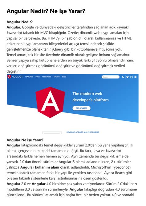 Solution Angular Nedir Ne E Yarar Studypool