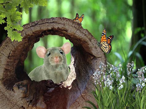 Squeeks the Mouse Digital Art by Laura Hillyer - Pixels