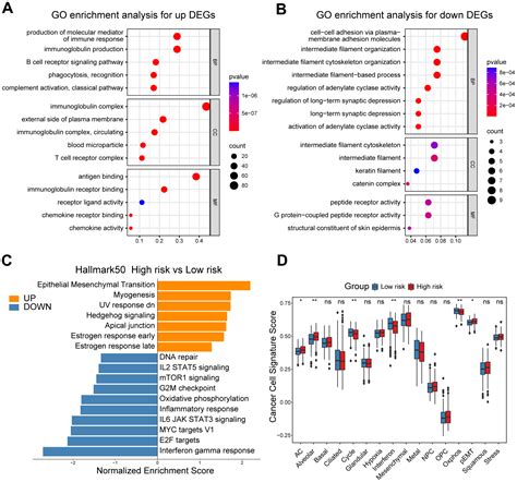 Comprehensive Single Cell And Bulk Rna Seq Analyses Reveal A Novel Cd