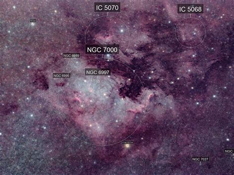 North America Nebula And Pelican Nebula Dvid Csillag AstroBin