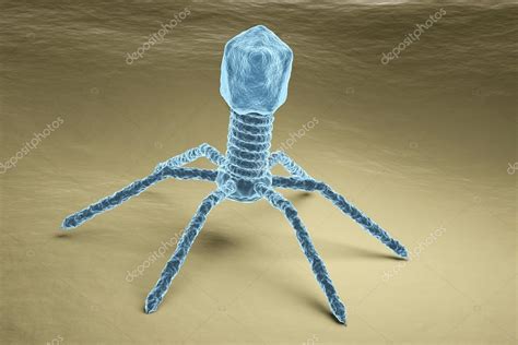 Bacteriophage Virus Electron Microscope