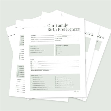 Six Page Digital Birth Preference/birth Plan Template for Labor