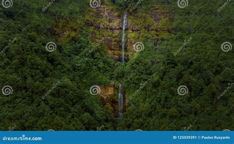 Small Waterfall At Geopark Ciletuh Royalty-Free Stock Photo | CartoonDealer.com #125039391