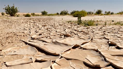 Schäden durch den Klimawandel Mediathek WDR