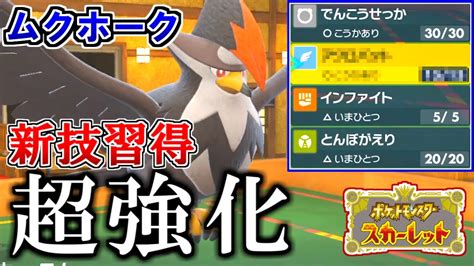 序盤鳥最強ポケモン『ムクホーク』新技習得で超強化された件【ポケモンsv】 Youtube