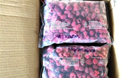 Frozen Iqf Raspberries Imported Packaging Size 1 Kg Packaging Type Packet At Rs 750 Kg In Pune