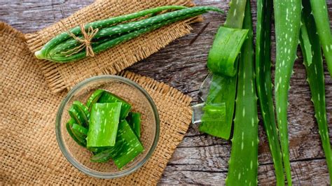 21 Must Know Benefits Of Aloe Vera For Skin And Hair