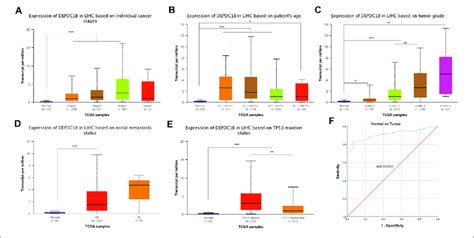 Diagnostical Potential Of DEPDC1B Expression In LIHC Association