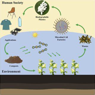 Resource Recycling Economic Scheme Based On Bio Based Biodegradable