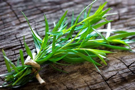 What Is Tarragon and How Is It Used?