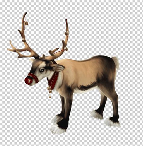 Santa Claus Rudolph Reno Navidad Reno Cuerno Mam Fero Ni O Png