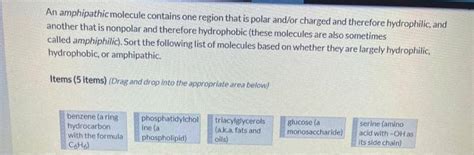 Solved An amphipathic molecule contains one region that is | Chegg.com