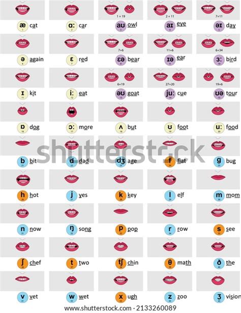 16 Vowel Mouth Shapes Images, Stock Photos, 3D objects, & Vectors ...