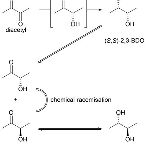 Homology Model Of BudC Based On Meso 2 3 Butanediol Dehydrogenase From