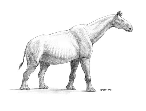 Paraceratherium by pheaston on DeviantArt