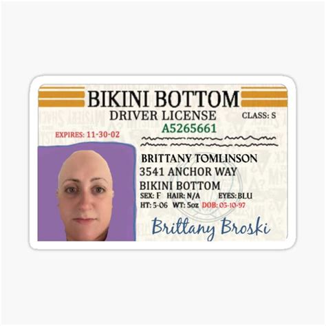 Brittany Broski Bikini Bottom License Sticker For Sale By Gaylegend