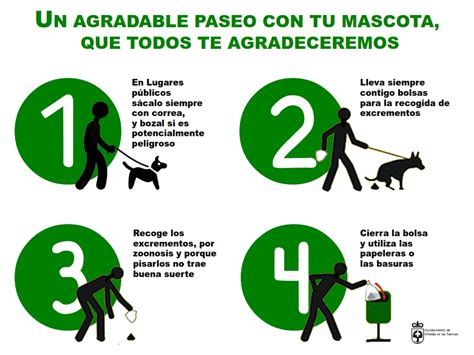 Normas Para Pasear Con Tu Mascota