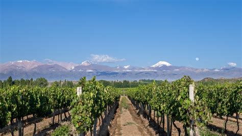 Wines of Argentina - Argentina's Wine Regions