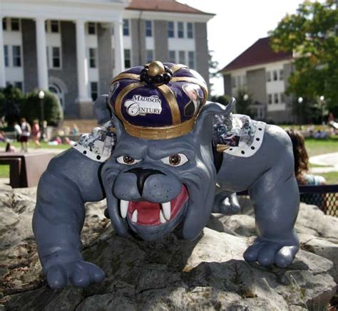 Put Up Your Dukes: Centennial Duke Dog - JMU