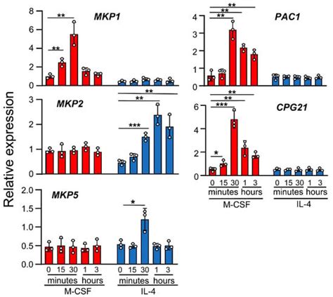 Cells Free Full Text Distinct Responses To Il4 In Macrophages