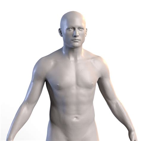 Man Anatomy 3D Model TurboSquid 1242481