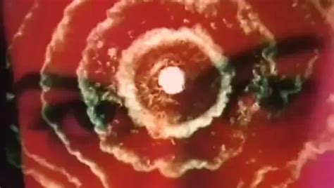 Suzanna Wienold Porn Videos Porn Star Sex Scenes XHamster