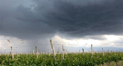 La Historia Detrás De La Leyenda De La Tormenta De Santa Rosa