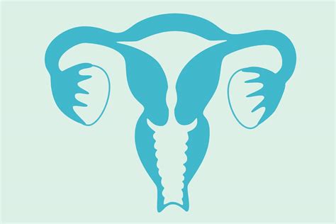 Why Is The Rate Of Uterine Cancer Rising Cancer Today