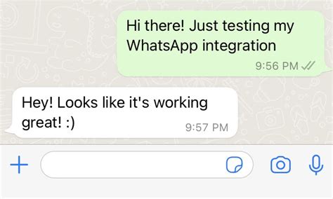 Integrating The WhatsApp Business API With Twilio Flex Twilio