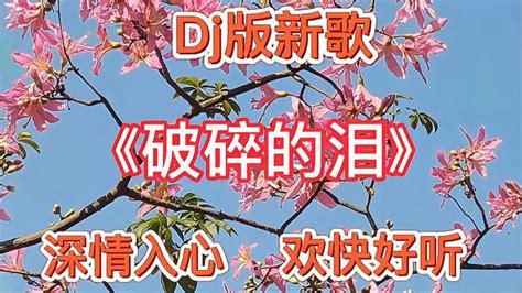 章艳一首dj版情歌《破碎的泪》歌声甜美，深情入心，悦耳动听 音乐视频 搜狐视频