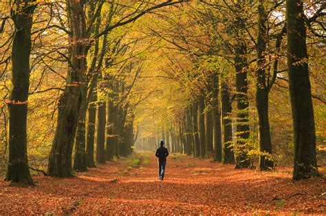 Redenen Om Vaker De Natuur In Te Gaan