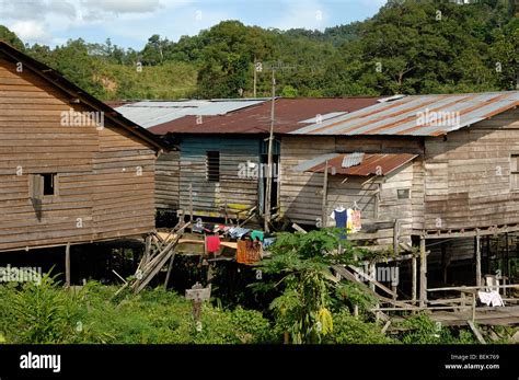 Communal Wooden Or Timber Longhouse Of The Iban Tribe Near Kapit