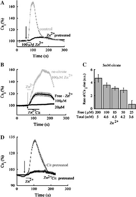 Extracellular Zn Dependent Ca Signal Is Desensitized By Either