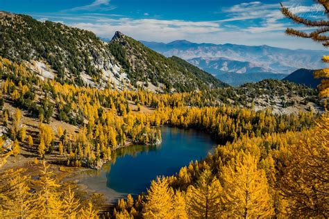 18 Best Larch Hikes in Washington for Magical Fall Colors (2024)