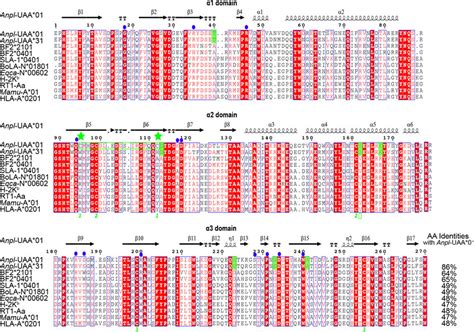 Structure Based Amino Acid Sequence Alignment Of Anpl UAA 01 And