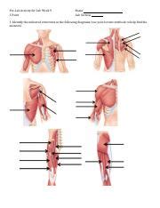 Lab Docx Pre Lab Activity For Lab Week Point Name Lab Section
