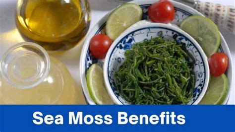 Sea Moss Benefits Unveiled Elevate Your Health With Natures Treasure