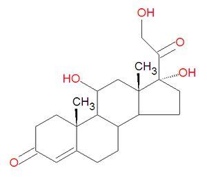 Cortisol - Citizendium